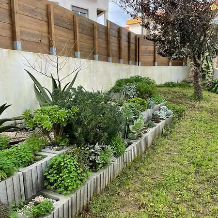 Apartman 1bd Close To Lourinhã