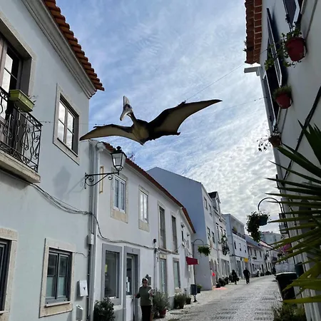 1bd Close To Lourinha (Lisbon)