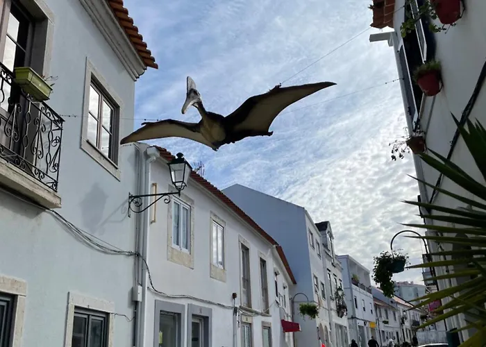 1bd Close To 로리냐